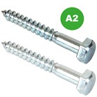 Coach Screws